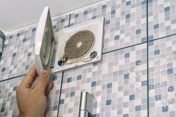 Best Professional Duct Cleaning Services  in Mount Olive, AL