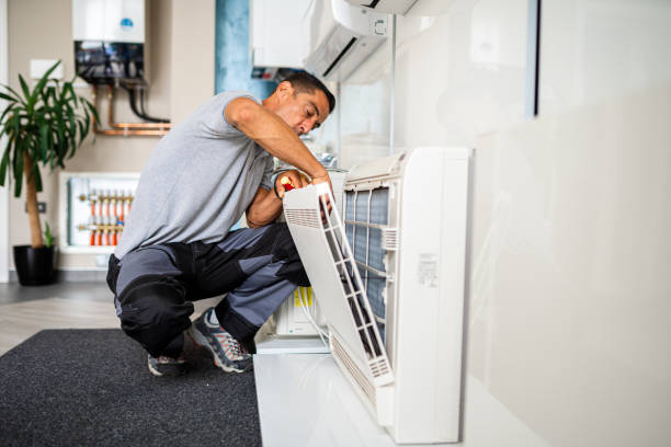 Best Local Air Duct Cleaning Services  in Mount Olive, AL