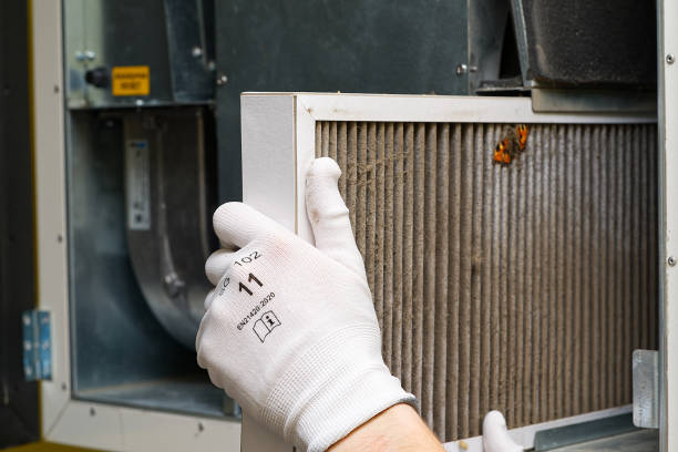 Best Air Vent Cleaning Services  in Mount Olive, AL