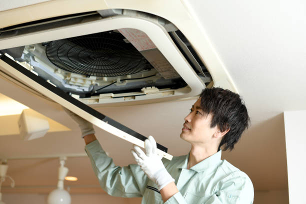Best Air Duct Cleaning Cost  in Mount Olive, AL