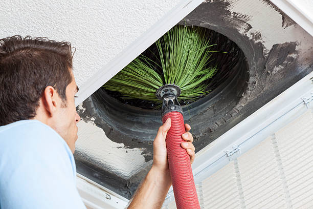 Best Affordable HVAC Duct Cleaning  in Mount Olive, AL