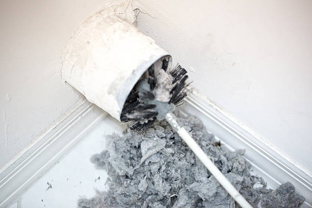 Best Emergency Air Duct Cleaning  in Mount Olive, AL