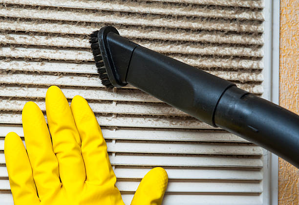 Best Affordable Air Duct Cleaning  in Mount Olive, AL
